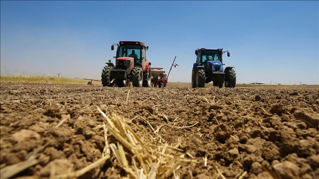 Buğday ekim alanları 24 milyon dekar azaldı