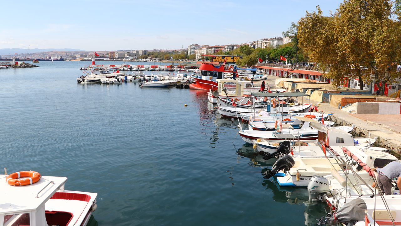 Marmara'da umduğunu bulamayan balıkçılar, hamsi için Karadeniz'de 