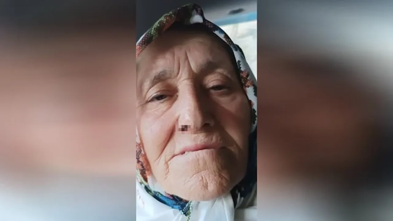 Ordu’da fındık tartışması yüzünden yaşlı kadını darbettiler