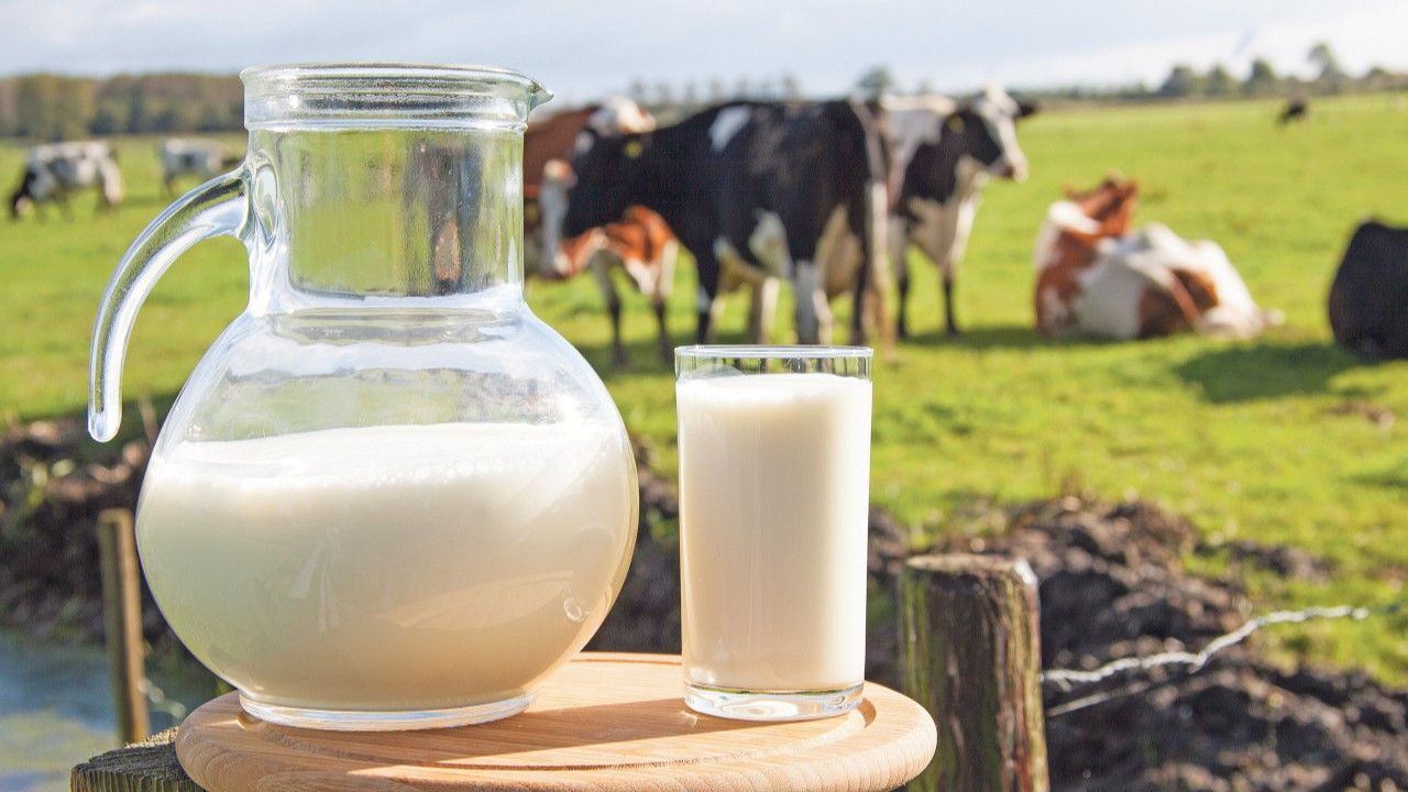 Üretici kazanamıyor: Süt üreticide 11 TL, markette 40 TL
