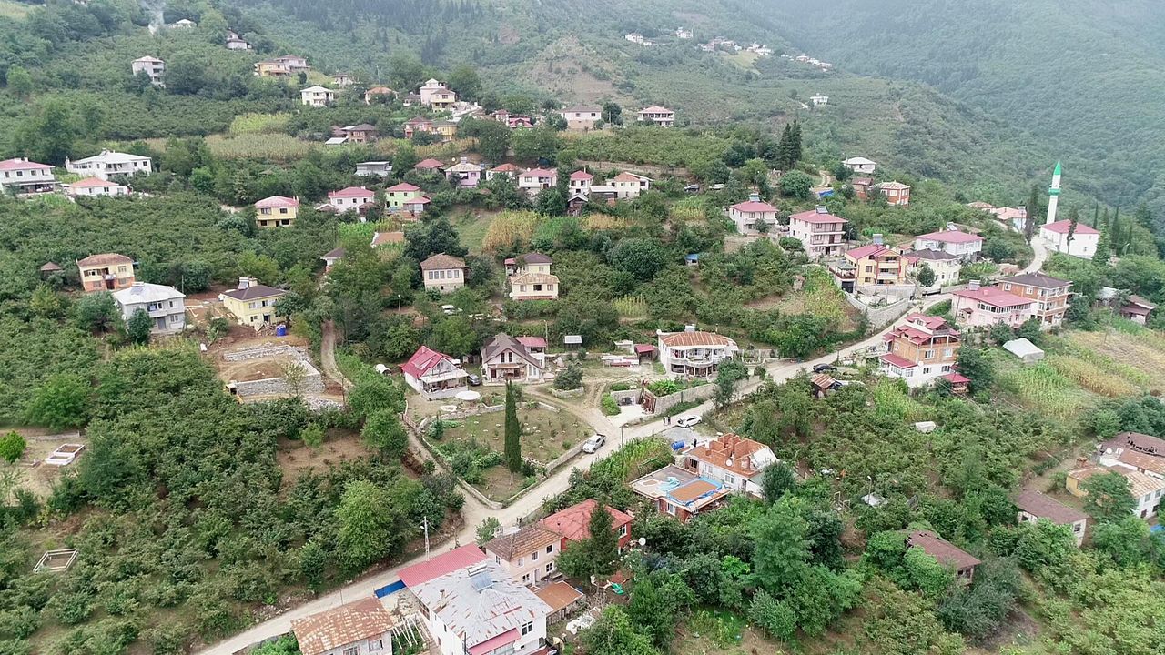Trabzon'da bahçe sulama kavgası: 1 ölü, 2 yaralı