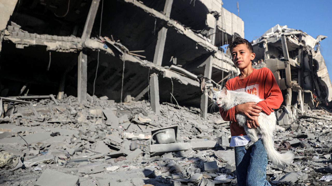İşgalci İsrail'in Gazze'de 9 bin 227 Müslümanı şehit etti