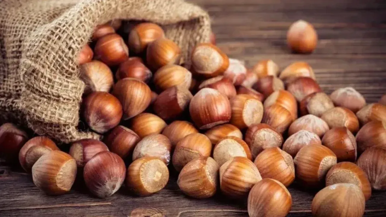 Türkiye'nin fındık ihracatının yüzde 34'ü Trabzon'dan yapıldı