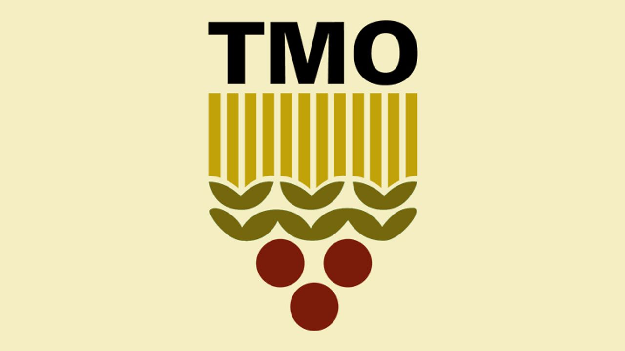 TMO, 325 bin ton mısır ithalatı için teklif aldı