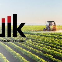 EKONOMİ