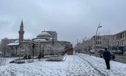 Doğu Anadolu'da kar ve soğuk hava etkili oldu
