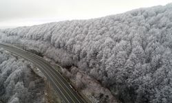 Beyaza bürünen Istranca ormanları havadan görüntülendi