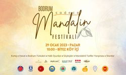 Bodrumda Sadece Mandalin Festivali 2023