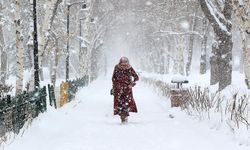 Meteoroloji uyardı: Kar yağışı 20cm'i aşacak