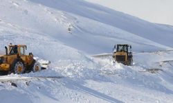 Van, Hakkari, Bitlis ve Muş'ta 781 yerleşim birimine ulaşım sağlanamıyor