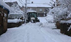 Bitlis'te köy yollarına kar engeli!