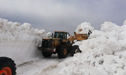 Selim-Göle kara yolu 4 ay sonra ulaşıma açıldı