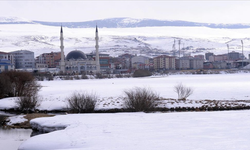 Erzurum ve Ardahan'da kuvvetli fırtına ile kar yağışı etkili oluyor