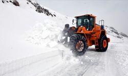 Tunceli'de kar yolları kapattı