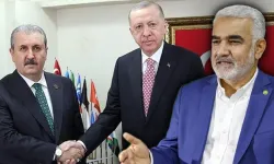 Destici: 'Hizbullah terör örgütü değildir' demek kabul edilemez