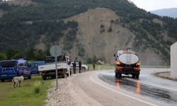 Tokat'ta öğrenci minibüsü ile otomobil çarpıştı, 2 kişi öldü, 10 kişi yaralandı