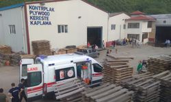 Kereste fabrikasında yangın: 4 işçi hastaneye kaldırıldı