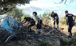 Ormanda çadır kurdu, sekiz ay sonra ölü bulundu