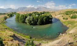 Tunceli Valiliği duyurdu: Ormanlarda ateşli piknik, kamp ve çadır kurmak yasak