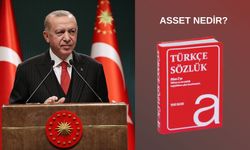 CB Erdoğan'ın Körfez Turu öncesi vurgu yaptığı "asset" ne demektir?