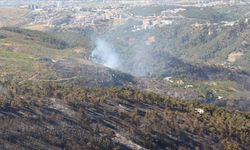 Hatay'ın Belen ilçesindeki orman yangını kontrol altına alındı