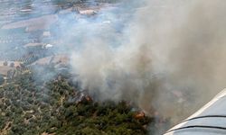 İzmir’in Ödemiş ve Kınık ilçelerinde orman yangını çıktı