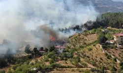 Kahramanmaraş'ta orman yangını