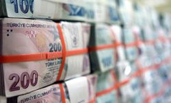 Hazine 19,8 milyar lira borçlandı