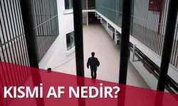 Kısmi af nedir?