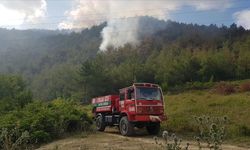 Bafra'da ormanlık alanlara giriş yasaklandı