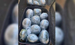 Polis memurları 19 kilo uyuşturucu ile yakalandı