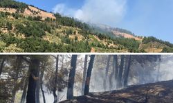 Gaziantep, İslahiye'de orman yangını: 4 hektar alan zarar gördü