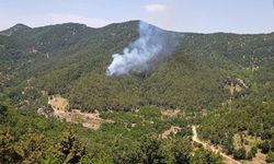 Hatay'da orman yangını devam ediyor