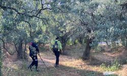 Yalova'da kaybolan öğretmen için arama çalışması başlatıldı