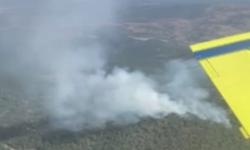 Kütahya'da orman yangını: 3 hektarlık alan yandı!