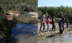 Kastamonu'da köy sakinleri, atık suların çaya karışmaması için çözüm bekliyor