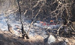 Soma'da orman yangını: Müdahale sürüyor