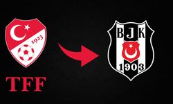 TFF, Beşiktaş'ı PFDK'ya sevk etti 