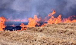 Trakya'da çoğu insan kaynaklı yangınlarda 7 bin 248 dekar tarım alanı zarar gördü