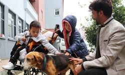 Gözleri görmeyen köpeğe öğretmenler ve özel eğitim öğrencileri sahip çıktı