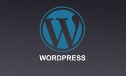 SEO Uzmanı ve WordPress Mükemmel İkili