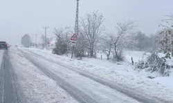 Erzurum-Tekman yolu ulaşıma kapatıldı