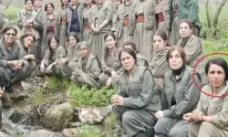 PKK'nın haraç toplayan görevlisi Jiyan Mardin etkisiz