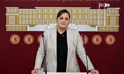 Burcu Köksal: Hedef Anayasa Mahkemesi'ni kapatmak