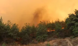 Çanakkale'de yangın nedeniyle bir köy boşaltıldı