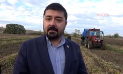 Edirneli çiftçi: Fasulyeyi 125 Liradan satmaya utanıyoruz