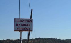 'Türkiye'nin ilk boğaz köprüsü' tehlikede: 'Acil çözüm bulunmalı' çağrısı