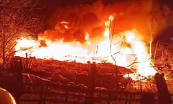 Başakşehir'de büyükbaş hayvanların bulunduğu ahırda yangın