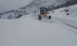 Bingöl’de 91 köy yolu kardan kapandı