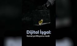 İsrail'in ABD'deki fişleme ve yıldırma şebekesi: Kanarya Misyonu nedir?